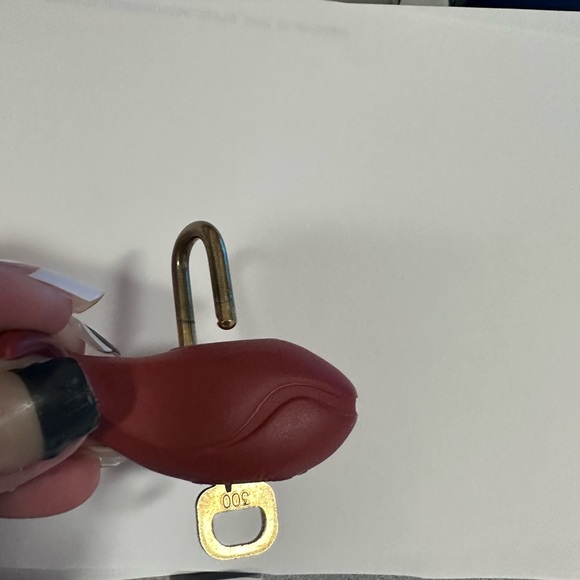 RARE whale Louis Vuitton lock and key - Picture 6 of 9